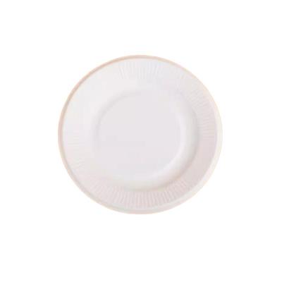 白色一次性纸盘子儿童手工diy