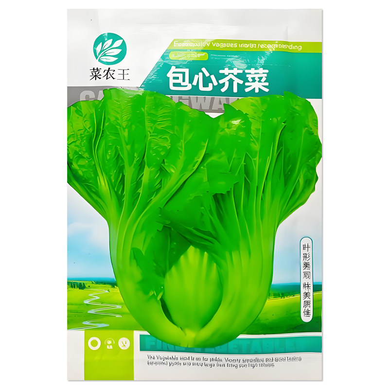 包心芥菜种子脆嫩芥菜