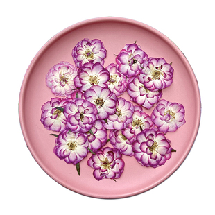 玫瑰干花diy材料月季干花压花标本滴胶手工押花相框火漆印章