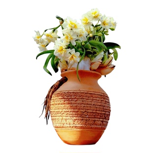 【花王雕刻7-11花箭】漳州水仙花已刻好带花苞单瓣重瓣水培年宵花