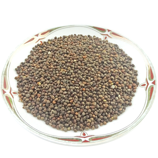 紫苏子 大野苏籽 中药材 天然纯新货 黑苏籽紫苏 苏子榨苏子500克