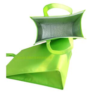 处理促销无纺布保温袋 鸡头米冰包 冷冻食品保温冷藏包