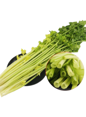 山东特产平度精品马家沟芹菜芯