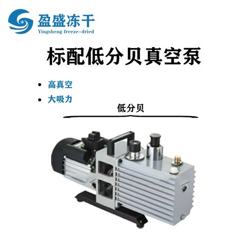 盈盛厂家真空冷冻干燥机宠物水果食品蔬菜实验商用智能控温冻干机