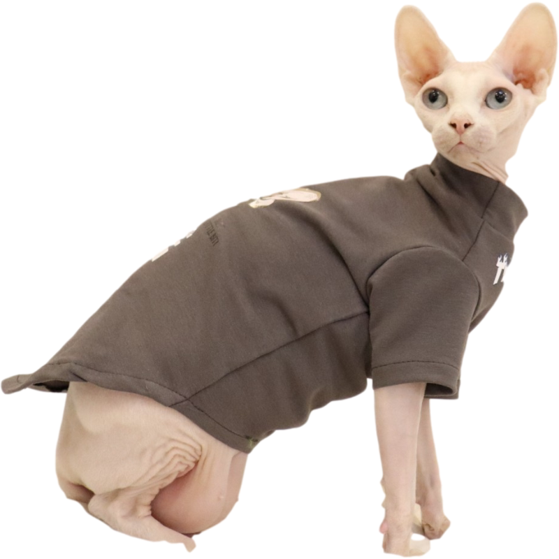 春夏无毛猫衣服斯芬克斯猫衣服德文比鲁斯高矮脚通用薄款纯棉潮牌