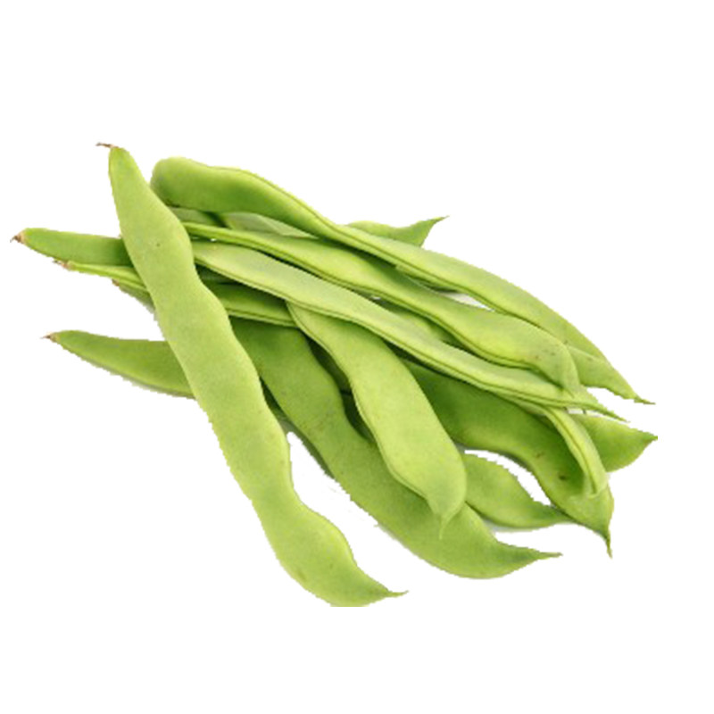 芸豆四季豆新鲜蔬菜现摘顺丰包邮