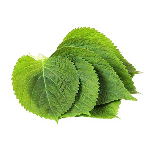 新鲜香料自选组合迷迭香罗勒叶百里香香茅欧芹等西餐泰餐调料蔬菜