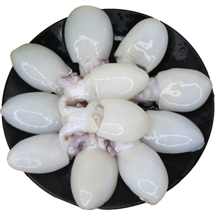 大号墨鱼仔生鲜新鲜冷冻墨斗鱼小目鱼仔海鲜火锅烧烤食材小乌贼