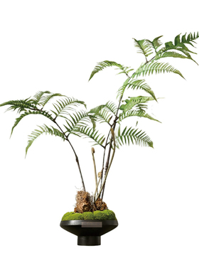 空合新中式仿真蕨类绿植盆栽
