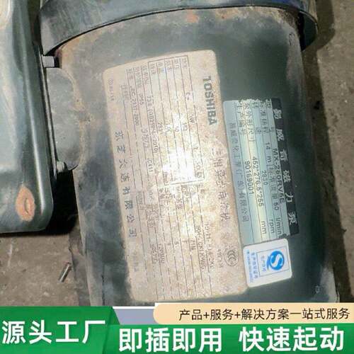 非标价易威奇磁力泵MX250RV5E0.4KW修理