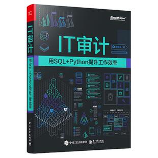 正版现货 IT审计 用SQL+Python提升工作效率 数据可视化技巧图书籍 Python基础入门实战技巧学习教程教材 涂佳兵电子工业出版社