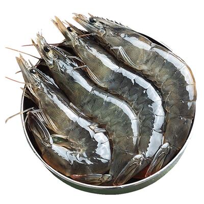 大虾海虾盐冻水产冰鲜