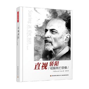 万千心理 直视骄阳 心理学入门基础心理咨询社会心理学欧文亚隆著