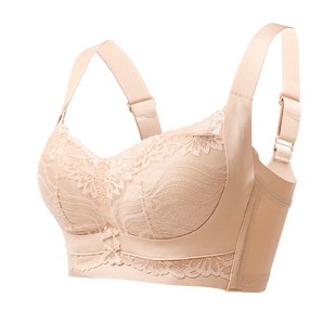 雅黛丽内衣女调整型文胸上托聚拢侧收副乳不外扩性感蕾丝胸罩2026