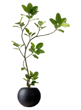 仿真孟加拉榕树绿植高端轻奢