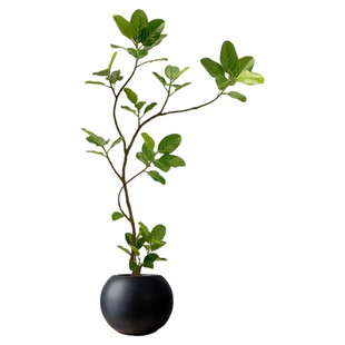 仿真孟加拉榕树绿植高端轻奢中古风假绿植室内客厅装饰高档高级感