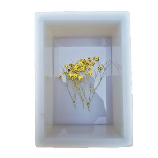 镜面滴胶金字塔型 树脂模具配件手工艺品半透明硅胶动植物标本diy