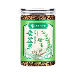 同仁堂垂盆草的功效与作用中草药材野生养肝护肝茶正品官方旗舰店