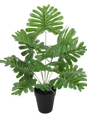 室内造景仿真小植物把束假草盆栽