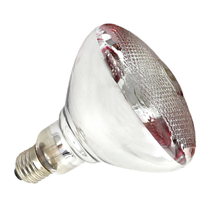 兽用加厚光麻面保温取暖灯泡防爆防水仔猪畜牧养殖设备红外线烤灯