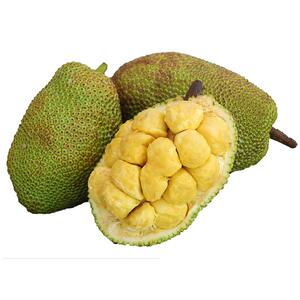 海南榴莲蜜应季热带水果