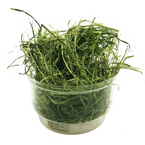 26年新晾晒提摩西草荷兰猪干草饲料龙猫豚鼠兔粮牧草兔子草包邮