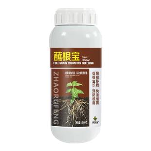 兆如丰蘸根宝瓜果蔬菜花卉苗木红薯辣椒西瓜沾根专用生根壮苗灵剂