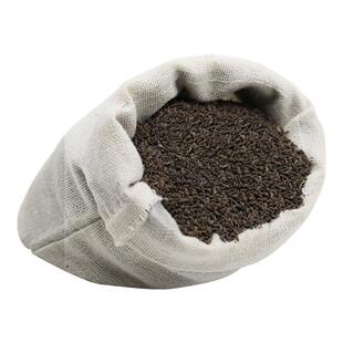 中药材柴胡种籽黑柴胡种子日本31号黄柴胡四季种植苗草药套种