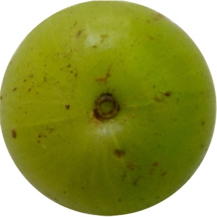 云南哀牢山野生滇橄榄油甘余甘子2斤今年新果拍下后进山采摘发货