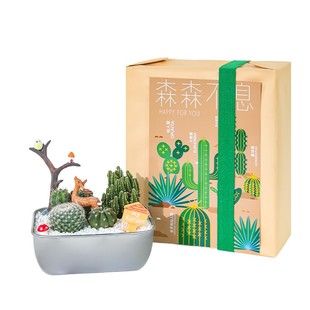涂鸦造物 x 博库 森森不息仙人掌盆栽植物办公室桌面绿植摆件礼物