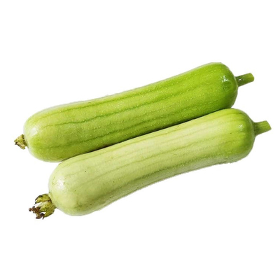 现摘现发农家自种白玉丝瓜