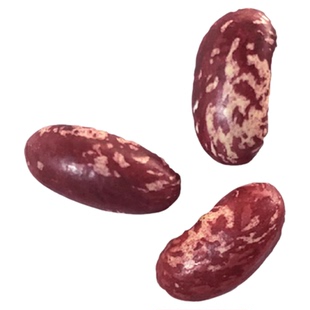 【新四季豆】云南干货紫花豆农家自产5斤酸菜豆米镇雄特产红花豆