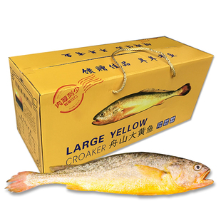 舟山深海大黄鱼海鲜年货礼盒半野生黄花鱼浙江宁波特产过年送礼