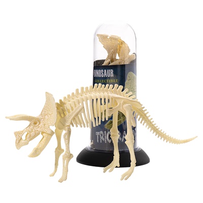 拼装骨架模型恐龙骨架桶装