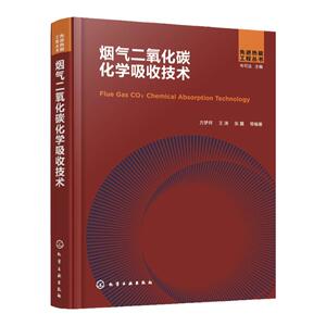 烟气二氧化碳化学吸收技术 方梦祥 碳中和技术碳减排 二氧化碳减排二氧化碳吸收 能源工程环境工程化工工艺等专业技术人员参考