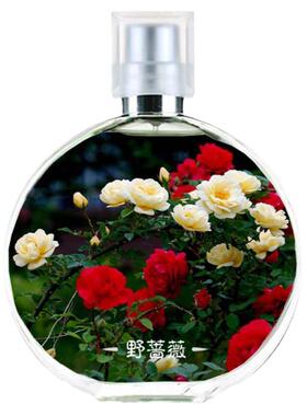 偶遇吾岸游书朗同款野蔷薇香水