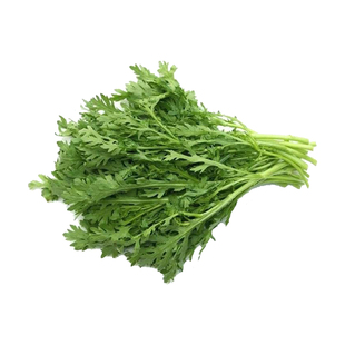 小叶茼蒿种子种籽芦蒿光杆茼蒿菜种皇帝菜秋冬季籽种青菜蔬菜孑籽