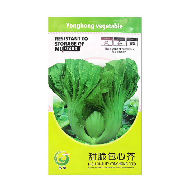 永红甜脆包心芥种子蔬菜种子