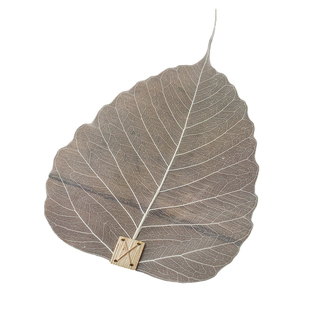 菩提叶片茶漏 创意禅意功夫茶具网滤配件 纯天然树叶茶滤 3片装