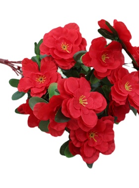 杜鹃花映山红花坛花室外花