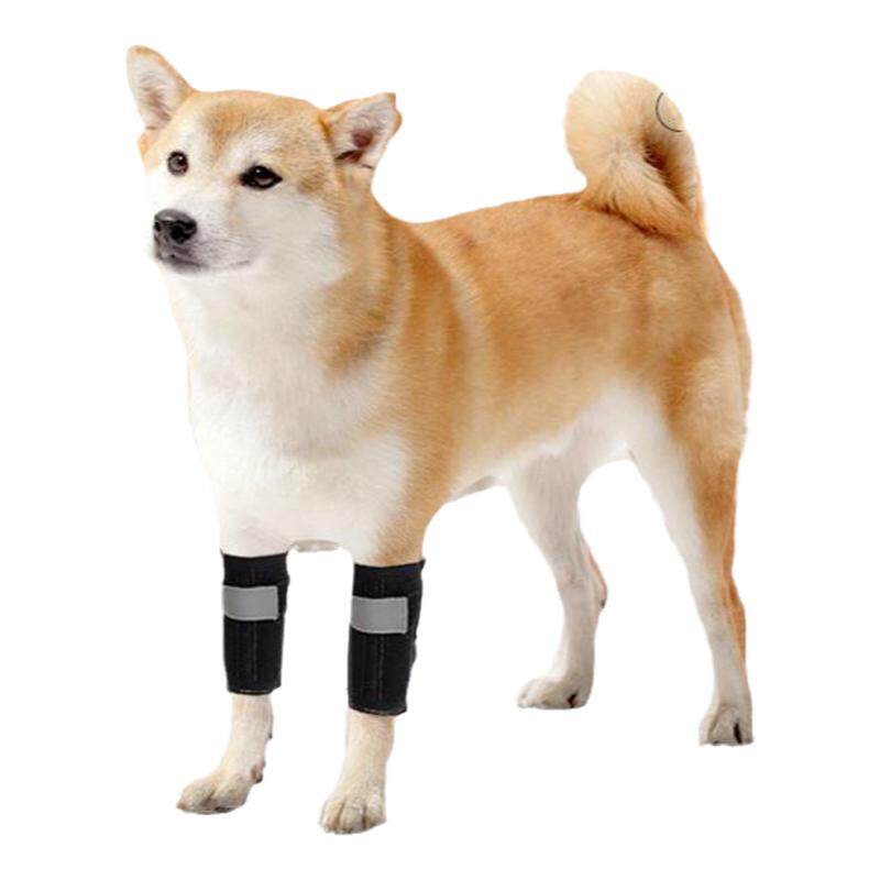 宠物护膝老年犬辅助腿套保护关节