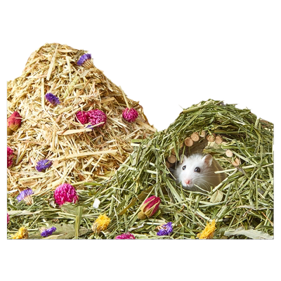 花草仓鼠除臭垫料造景用品
