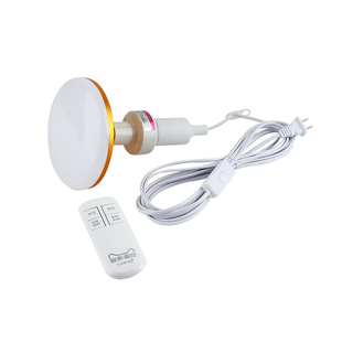 家用节能遥控灯座超亮LED插电灯泡带线插头开关悬挂式卧室插座灯