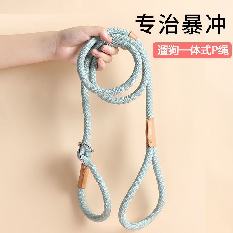 宠物狗狗牵引绳一体式p绳p链狗绳小中大型犬柯基防爆冲遛狗链子粗