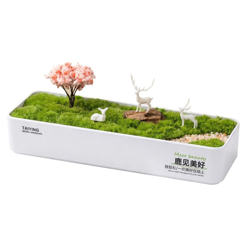 鲜活苔藓微景观好养摆件鹿见美好