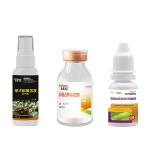 乌龟白眼病专用药眼睛红肿肿胀睁不开眼肺炎肠炎腐皮腐甲阿莫西林