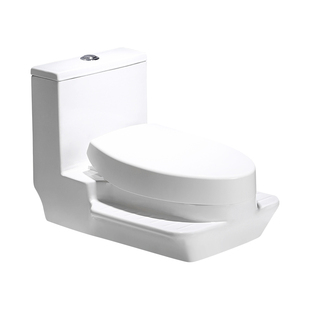 现代蹲坐两用蹲便器一体式蹲坑免挖坑双用卫生间免下沉二合一马桶