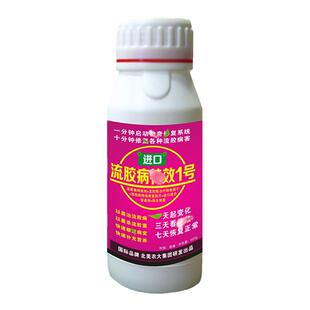 进口流胶病除净1号杀菌剂 樱桃树果树柑橘柚子树黄瓜流胶病专用药