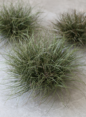 蒲草球仿真植物造景摆件店铺装饰假草堆景观芦苇草灌木草绿植园景