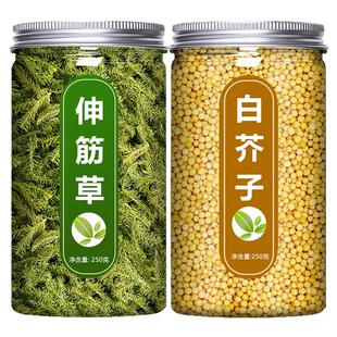 小伸筋草白芥子中药材野生新鲜舒筋草泡脚泡水喝的功效与作用茶粉